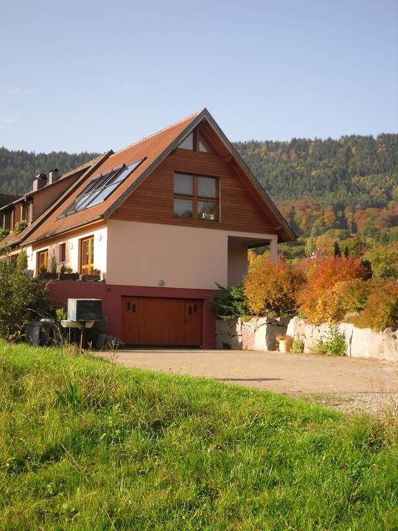 Gites Du Taennchel Thannenkirch Exteriör bild