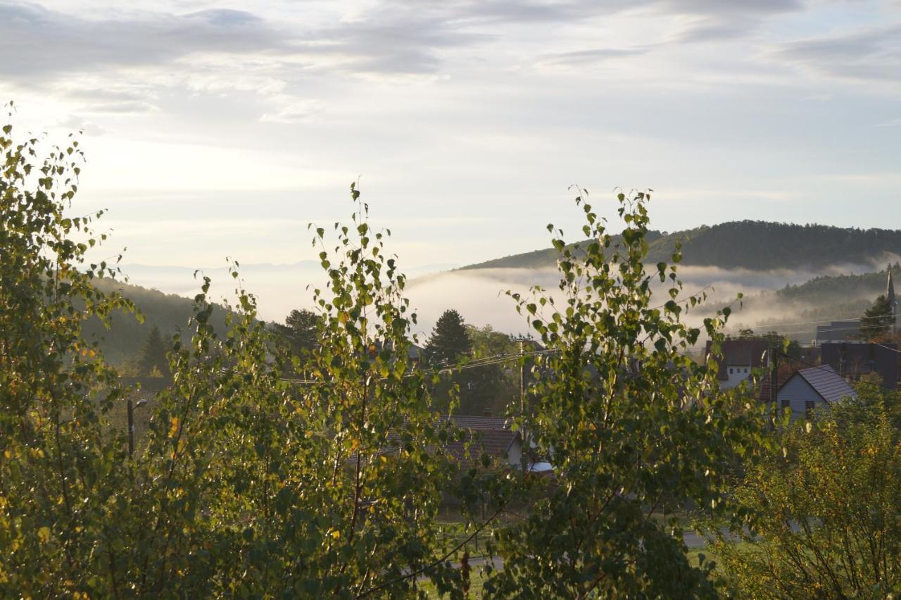 Gites Du Taennchel Thannenkirch Exteriör bild